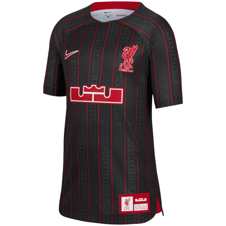 Nike Liverpool FC x LeBron James Special Edition Youth Jersey