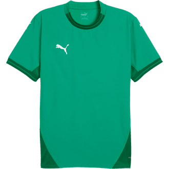 Puma TeamFINAL Jersey