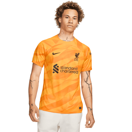 Nike Liverpool FC 2023-24 Mens Short Sleeve Goalkeeper Jersey
