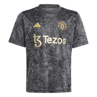 Adidas Manchester United Stone Roses Youth Pre-Match Jersey