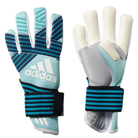 blijven plafond Rally adidas Ace Trans Pro Goalkeeper Gloves