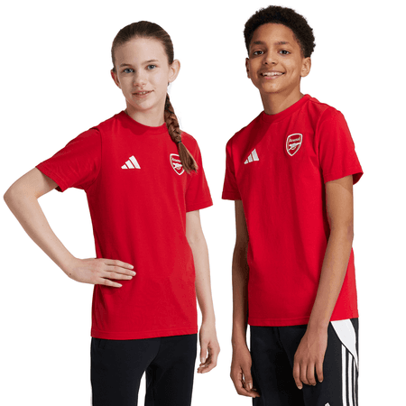 adidas Arsenal Youth Short Sleeve DNA Graphic Tee