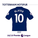 Tottenham Spurs 2019 Name Set