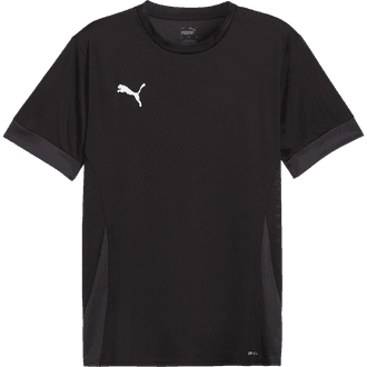 Puma TeamGOAL Matchday Jersey