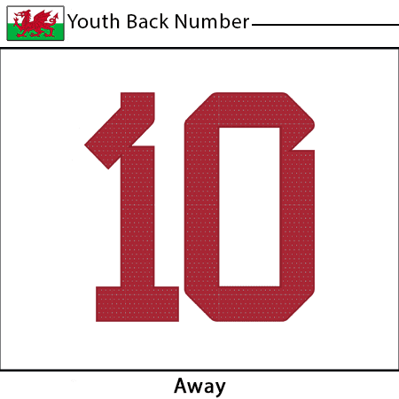 Wales 2022 Youth Back Number