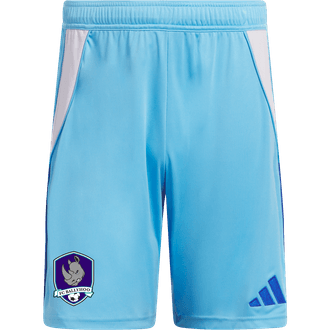 FC Ballyhoo Blue GK Shorts