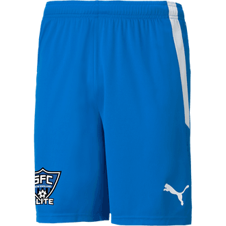 SFC Elite Royal Shorts