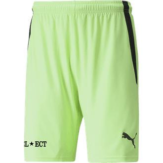 Select Boys Lime Short