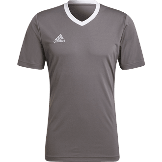 adidas Entrada 22 Jersey