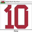Wales 2022 Adult Back Number