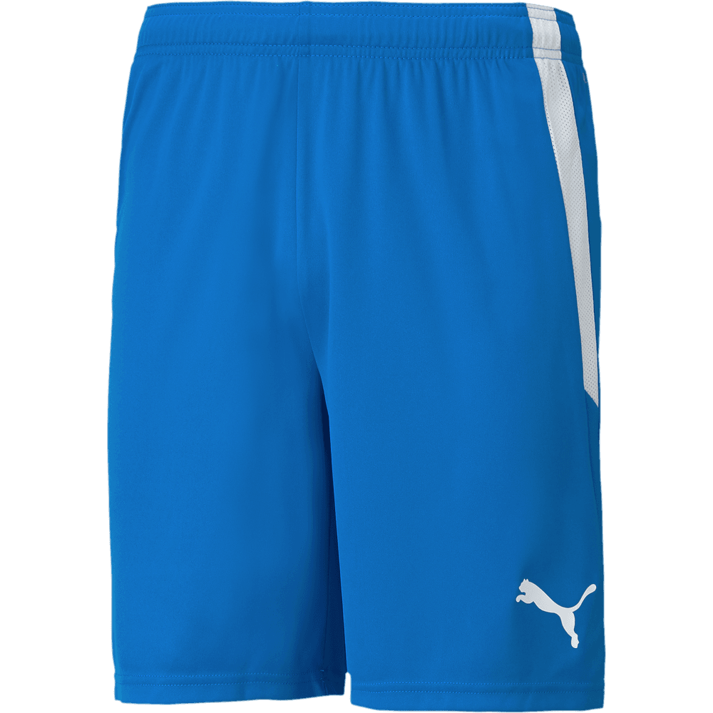 JFC Elite Royal Shorts | WGS