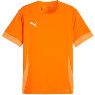 Puma TeamGOAL Matchday Jersey