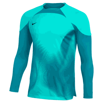 Nike Dri-Fit Long Sleeve Gardien IV GK Jersey