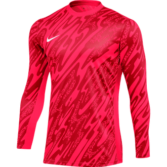 Nike Dri-Fit Gardien V Long Sleeve Goalkeeper Jersey