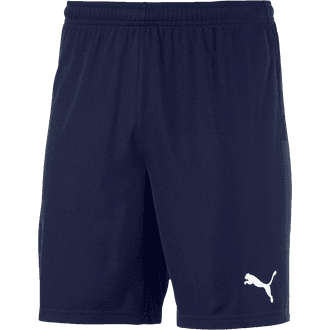 Westfield SA Navy Shorts