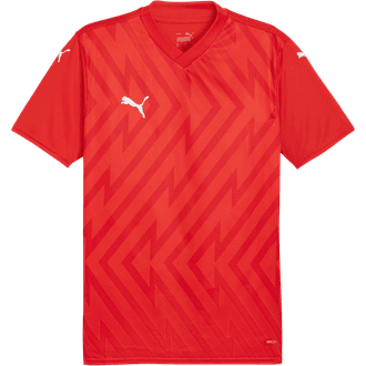 Puma TeamGLORY Jersey