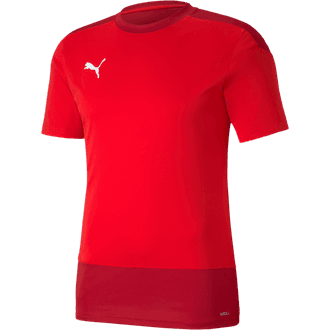 Puma TeamGoal 23 Training Jersey