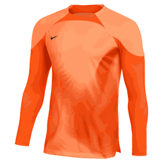 Nike Dri-Fit Long Sleeve Gardien IV GK Jersey