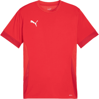 Puma TeamGOAL Matchday Jersey