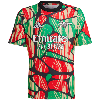 adidas Arsenal Labrum 2024-25 Youth Pre-Match Jersey