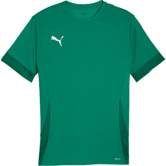 Puma TeamGOAL Matchday Jersey