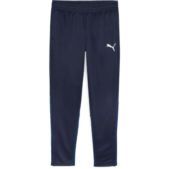 Puma TeamGOAL Training Pant