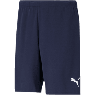 Ponte Vedra Navy Shorts