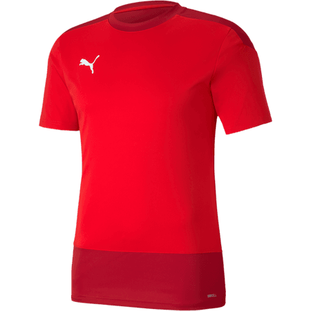 Puma TeamGoal 23 Training Jersey