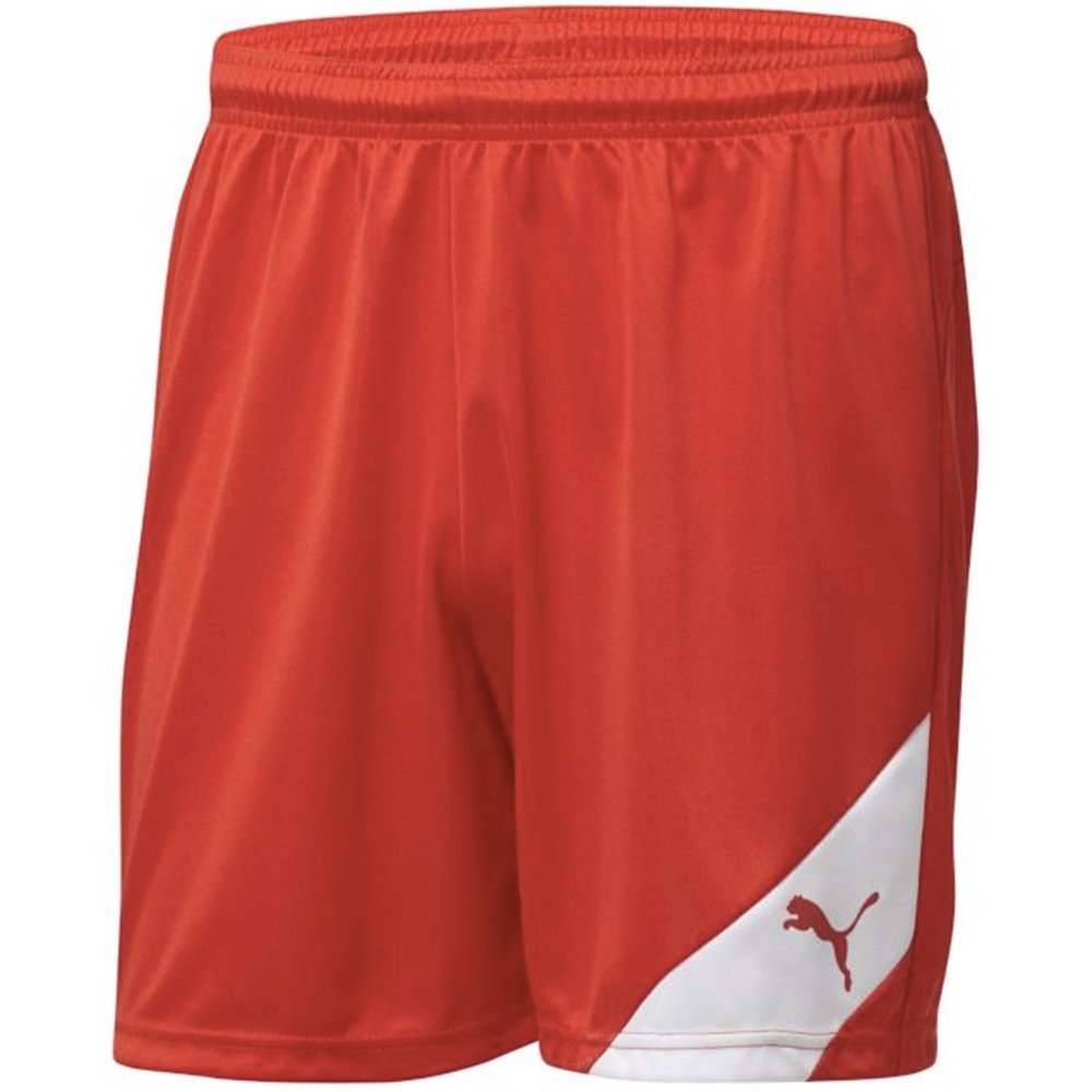 Puma Santiago Short | WeGotSoccer.com