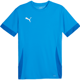 Puma TeamGOAL Matchday Jersey