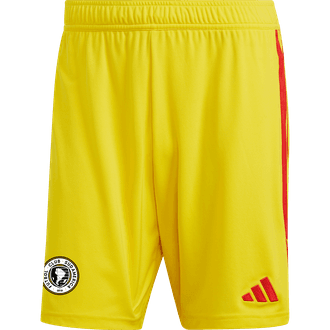 FC Sudamerica Yellow GK Shorts