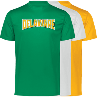 Delaware SC Tech Tee