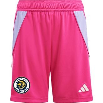 Camp Hill SC Pink GK Shorts