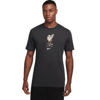 Nike Liverpool FC Men