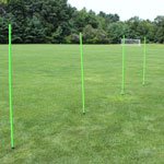 WGS Natural Grass Coaching Stick Set (4 piece set)