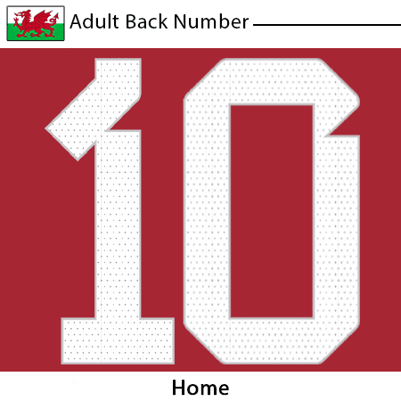 Wales 2022 Adult Back Number