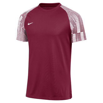 Nike Dri-Fit Short Sleeve Academy Jersey