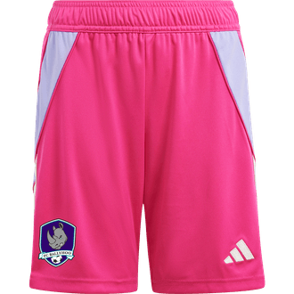 FC Ballyhoo Pink GK Shorts
