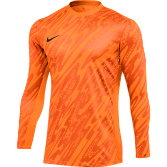 Nike Dri-Fit Gardien V Long Sleeve Goalkeeper Jersey