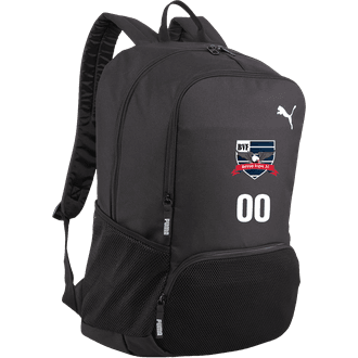 Boston Vigor Backpack