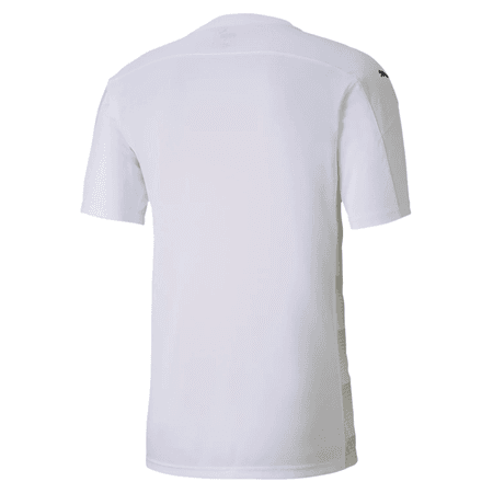 Puma TeamFinal 21 Graphic Jersey | WeGotSoccer