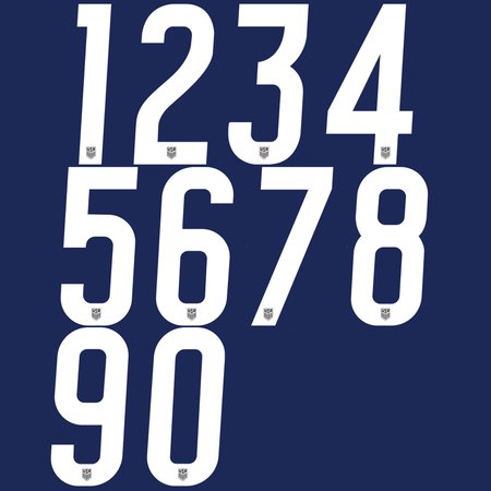 USA 2020 10in Number