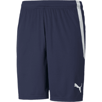 Lexington United Navy Shorts
