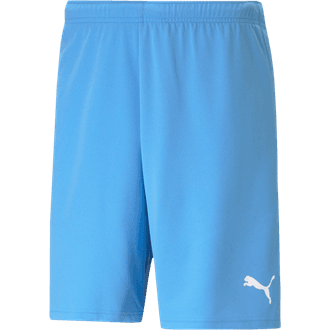 Long Island City Blue Shorts