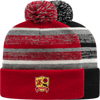 Valeo Cuffed Beanie