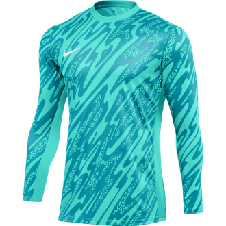 Nike Dri-Fit Gardien V Long Sleeve Goalkeeper Jersey