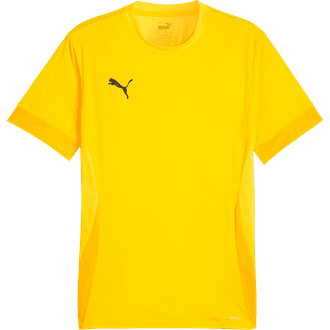 Puma TeamGOAL Matchday Jersey