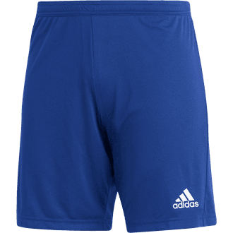 Goshen SC Royal Shorts