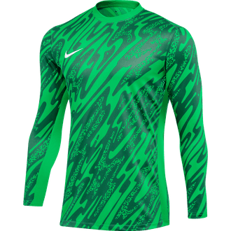 Nike Dri-Fit Gardien V Long Sleeve Goalkeeper Jersey