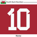 Wales 2022 Youth Back Number